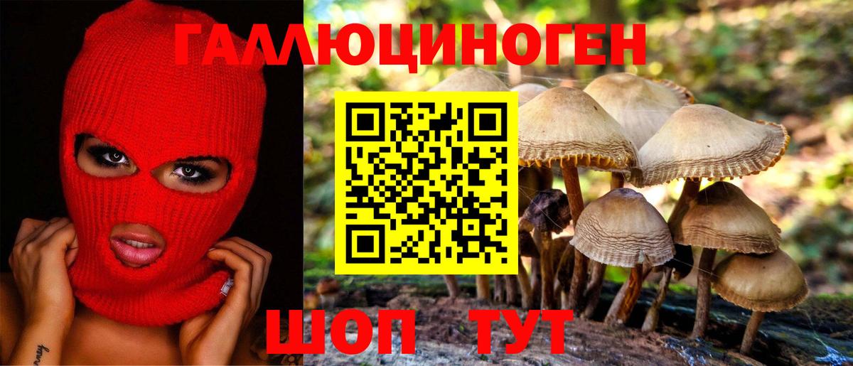 Псилоцибиновые грибы Psilocybe  Галлюциногенные грибы Magic Shrooms  Кашира  где найти наркотики  Вход с VPN 